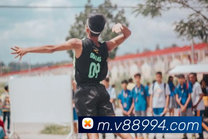 v8体育入口平台生态图
